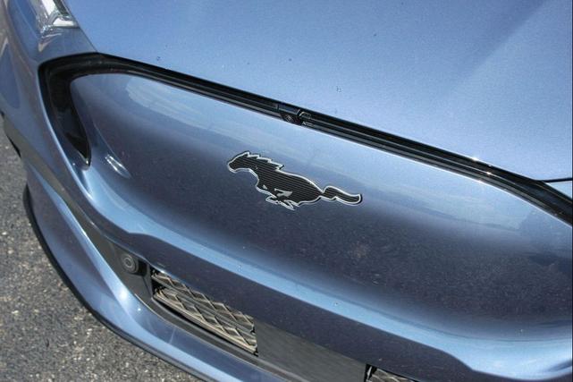 Photo of 2021 Blue Metallic Ford Mustang Mach-E
