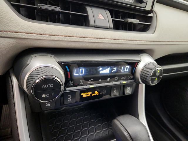 Photo of 2022 Green Toyota RAV4