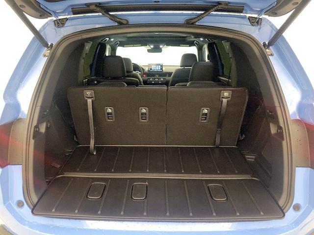 Photo of 2025 Blue Honda Pilot