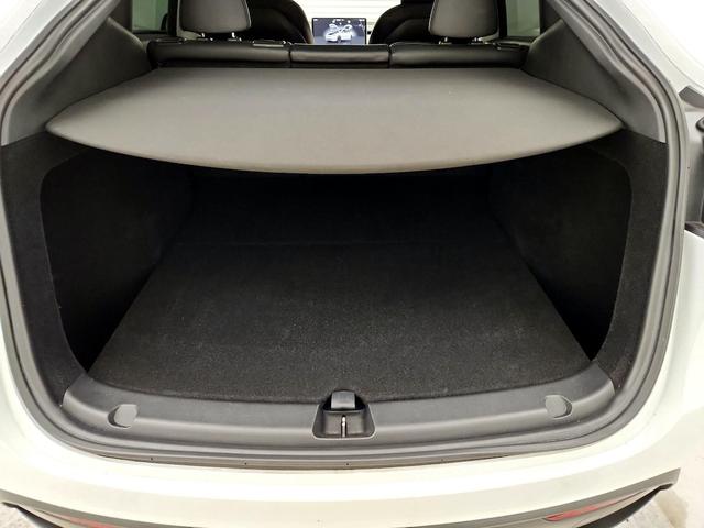 Photo of 2023 White Tesla Model Y