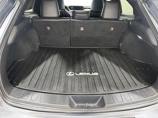 Photo of 2020 Nebula Gray Pearl Lexus UX 250h