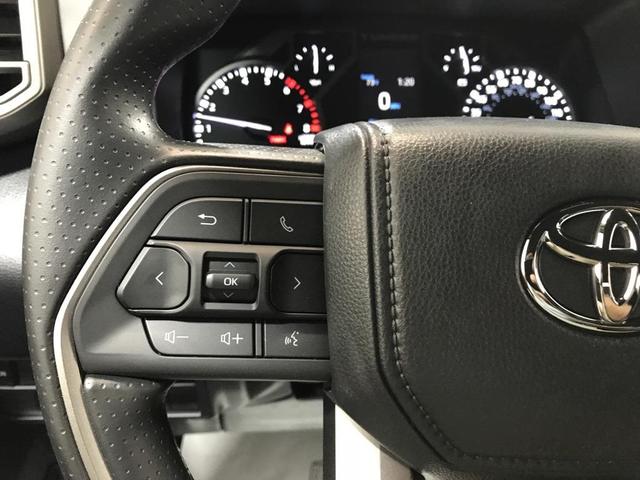 Photo of 2025 Ice Cap Toyota Tundra
