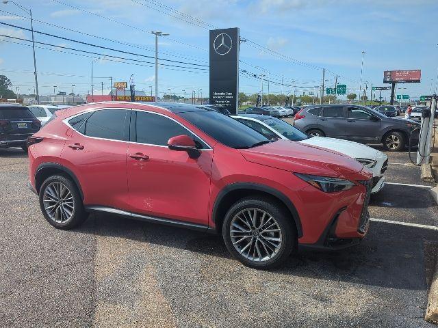 2025 Lexus Nx 350