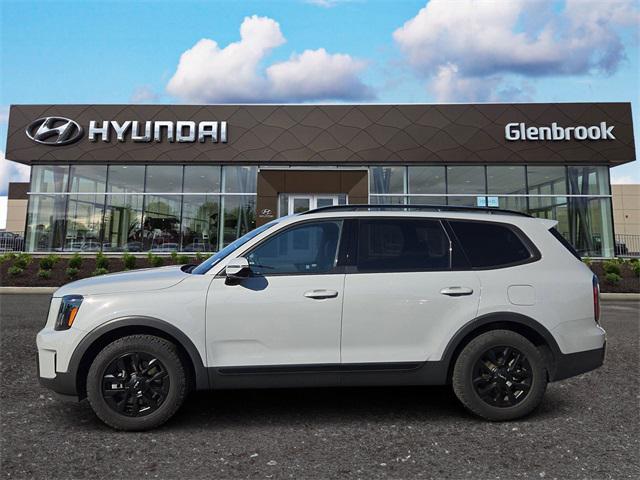 Photo of 2024 Wolf Gray Kia Telluride