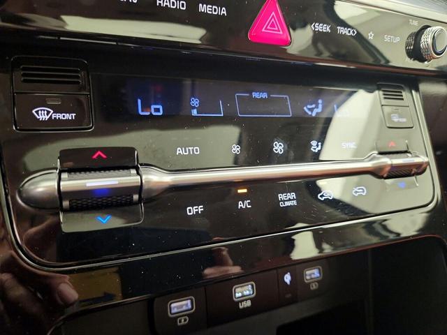 Photo of 2024 White Kia Carnival