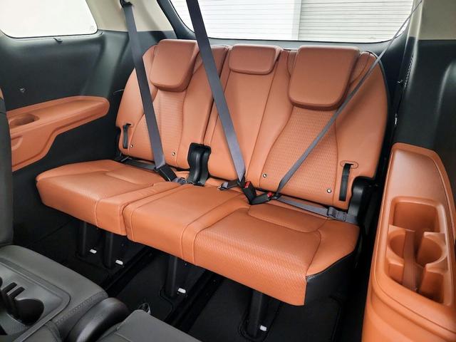 Photo of 2024 White Kia Carnival