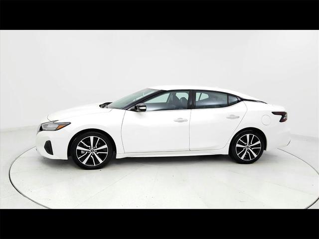 Photo of 2023 White Nissan Maxima