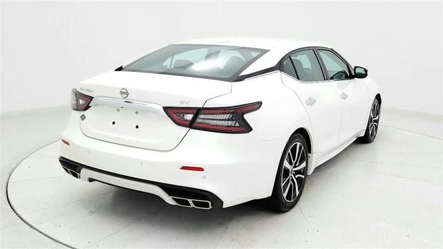 Photo of 2023 White Nissan Maxima