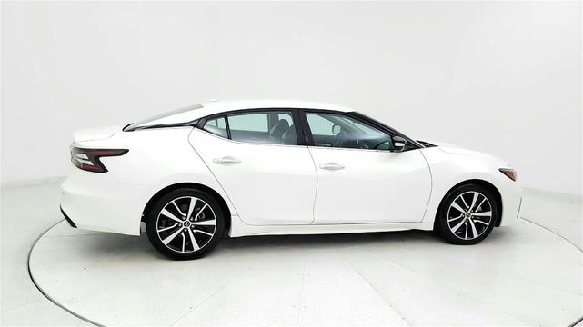 Photo of 2023 White Nissan Maxima
