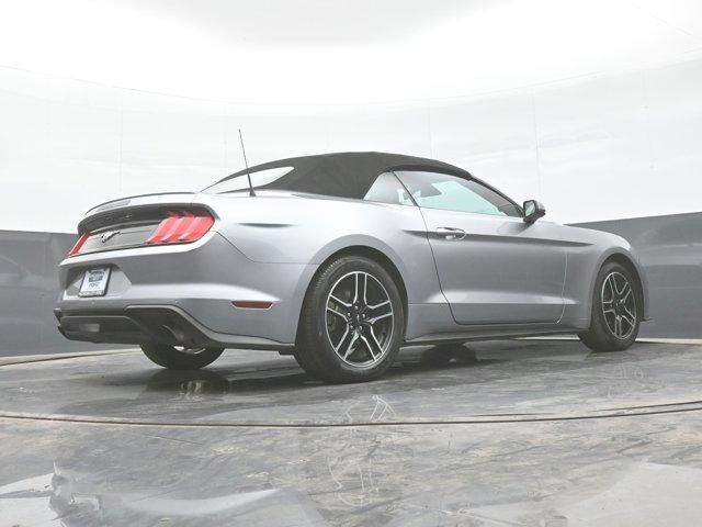 Photo of 2022  Ford Mustang