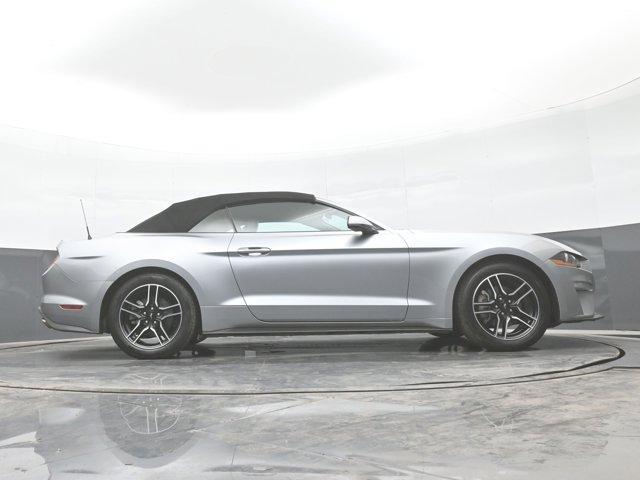 Photo of 2022  Ford Mustang