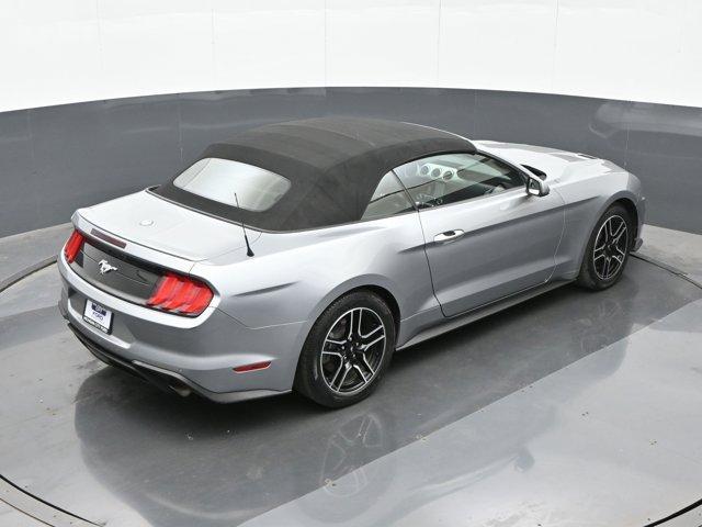 Photo of 2022  Ford Mustang