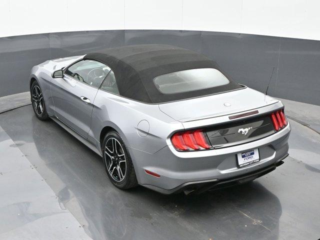 Photo of 2022  Ford Mustang