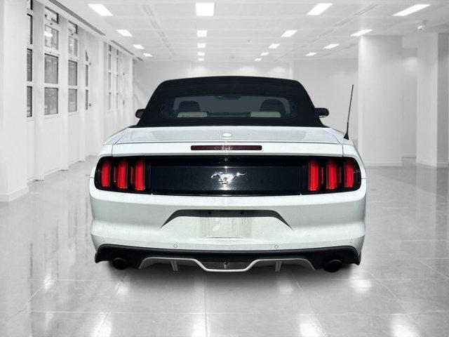 Photo of 2015 OXFORD WHITE Ford Mustang