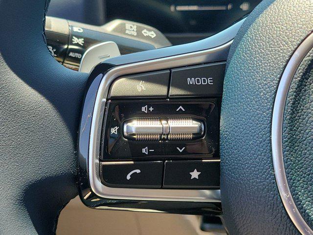 Photo of 2025 Panthera Metal Kia Carnival Hybrid