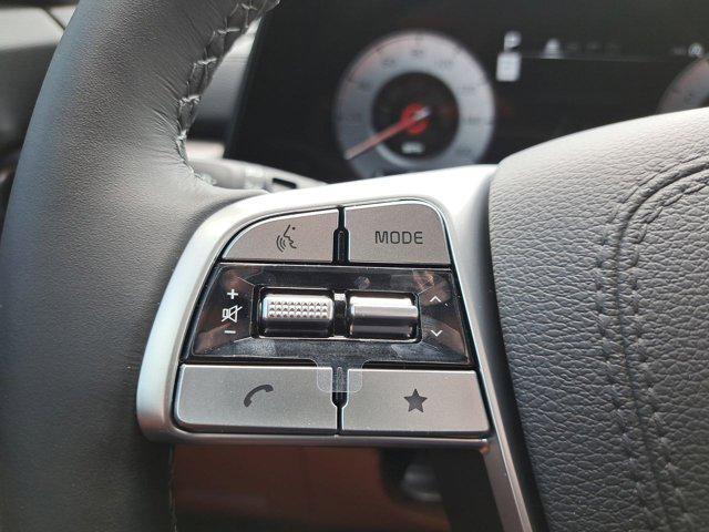 Photo of 2025 Panthera Metal Kia Telluride