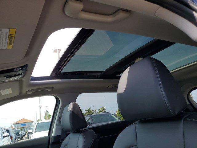 Photo of 2025 Panthera Metal Kia Sorento