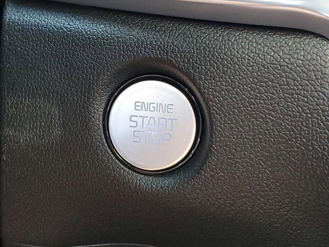 Photo of 2025 Panthera Metal Kia Sorento