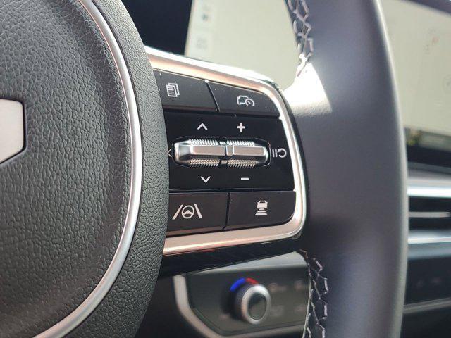 Photo of 2025 Panthera Metal Kia Sorento