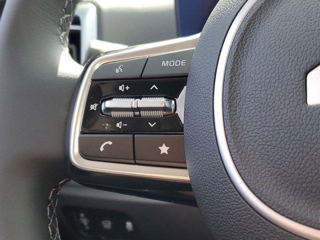 Photo of 2025 Panthera Metal Kia Sorento