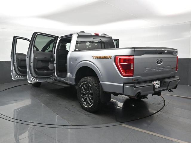 Photo of 2023 Silver Ford F-150