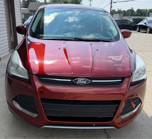 Photo of 2014 BURGAN Ford Escape