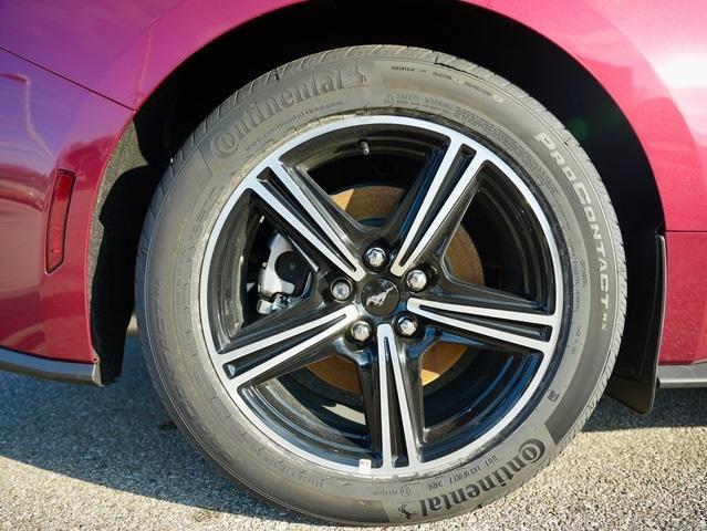 Photo of 2025 Molten Ford Mustang