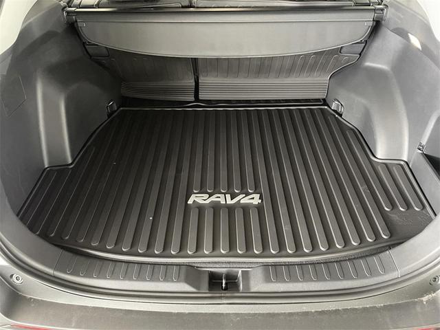 Photo of 2025 Ice Cap Toyota RAV4
