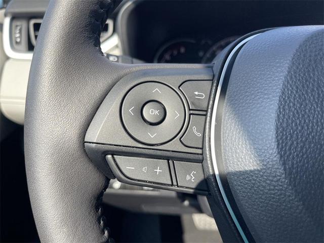 Photo of 2025 Ruby Flare Pearl Toyota RAV4