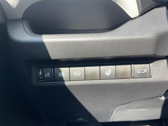 Photo of 2025 Ruby Flare Pearl Toyota RAV4