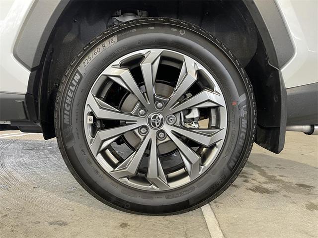 Photo of 2025 ''wind Chill'' Toyota RAV4 Hybrid
