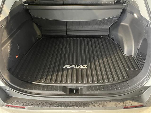 Photo of 2025 ''wind Chill'' Toyota RAV4 Hybrid
