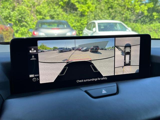 Photo of 2025 Platinum Mazda CX-90