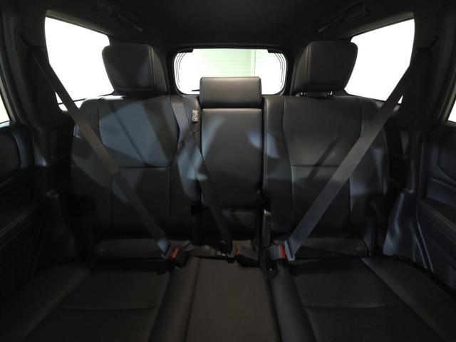 Photo of 2024 Meteor Shower Toyota Land Cruiser