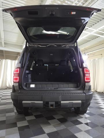 Photo of 2024 Meteor Shower Toyota Land Cruiser