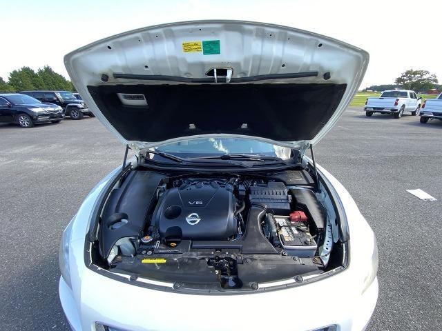Photo of 2014 Pearl White Nissan Maxima