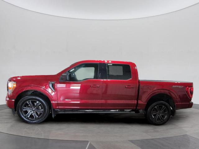 Photo of 2022 RAPID RED MET TINTED CC Ford F-150
