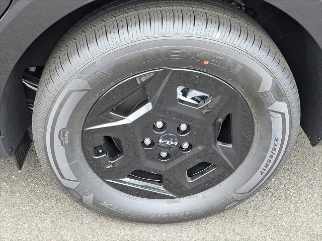 Photo of 2026 Panthera Metal Kia Carnival