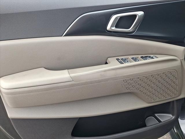 Photo of 2026 Panthera Metal Kia Carnival