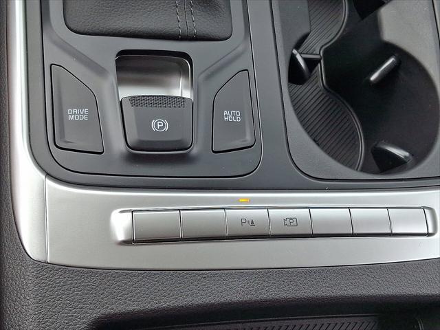Photo of 2026 Panthera Metal Kia Carnival