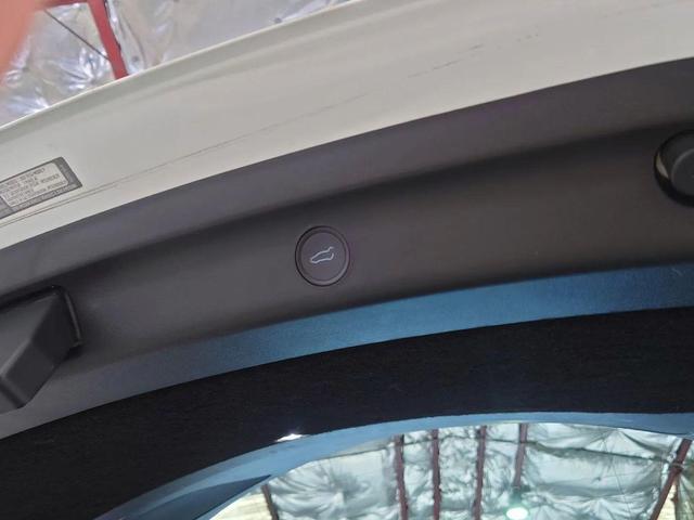 Photo of 2021 White Tesla Model Y