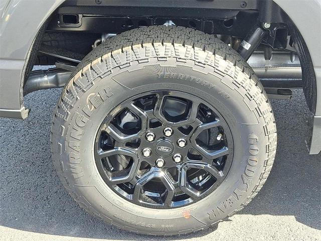 Photo of 2025 Carbonized Gray Metallic Ford F-150