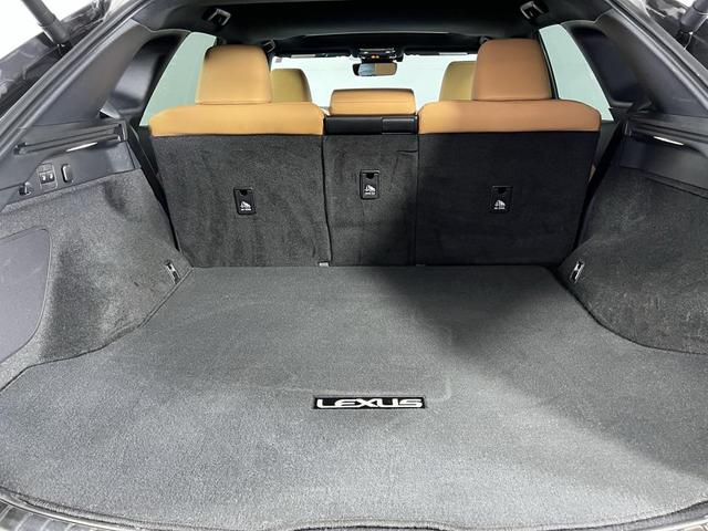 Photo of 2024 Cloudburst Gray Lexus RX 350
