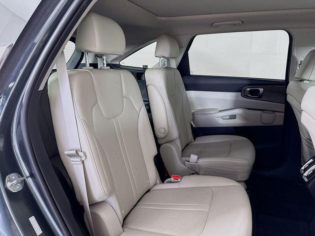 Photo of 2023 Aruba Green Kia Sorento
