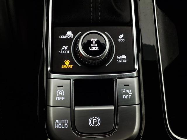 Photo of 2022 Everlasting Silver Kia Telluride