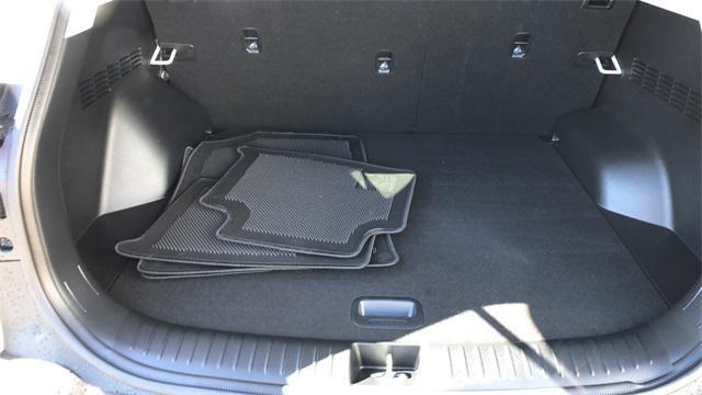 Photo of 2025 Clear White/Black Roof Kia Seltos