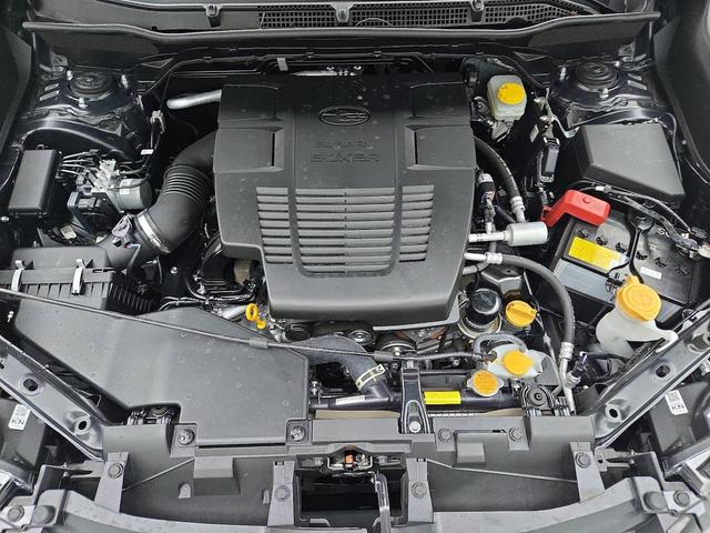 Photo of 2024 Gray Subaru Forester