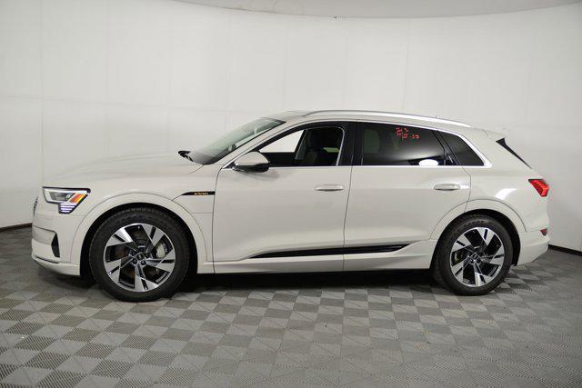 Photo of 2022 Siam Beige Metallic Audi e-tron