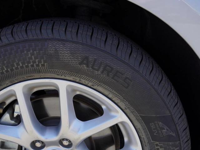 Photo of 2023 Silver Mist Clearcoat Chrysler Voyager