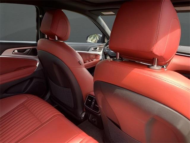 Photo of 2023 Vik Black Genesis G70